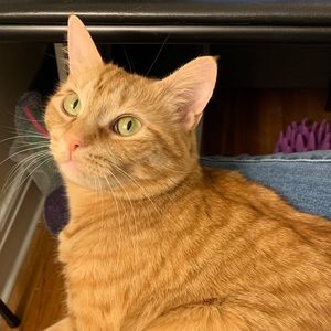 Meet your Posher, Eva